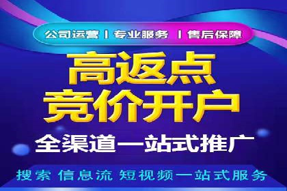 行业领先SEM竞价员的策略与实战案例